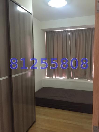 D' Chateau @ Shelford (D11), Apartment #72584241